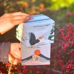 Cosy winter tea gift set with caffeine-free chai & Ayurvedic detox tea. Perfect Christmas herbal tea duo for calm, wellness & digestion support. 48hr delivery.