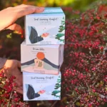 Festive Ayurvedic tea trio for winter wellness, immunity & digestion. A caffeine-free Christmas tea gift set with 3 herbal blends. Fast 48hr tracked delivery.