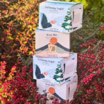 Ultimate Ayurvedic Christmas tea bundle with 4 caffeine-free herbal blends for winter wellness, immunity, detox and stress relief. Perfect tea lover gift set.